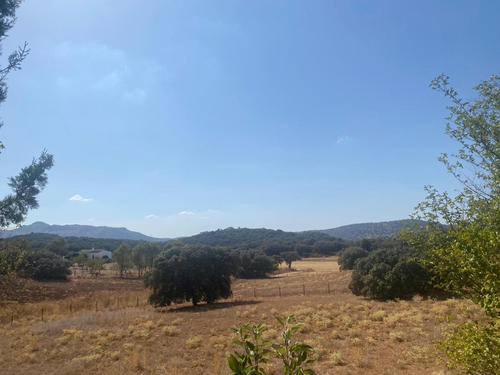 Casa Rural El Contarin - An Andalusian Escape, Archidona, Malaga Екстериор снимка
