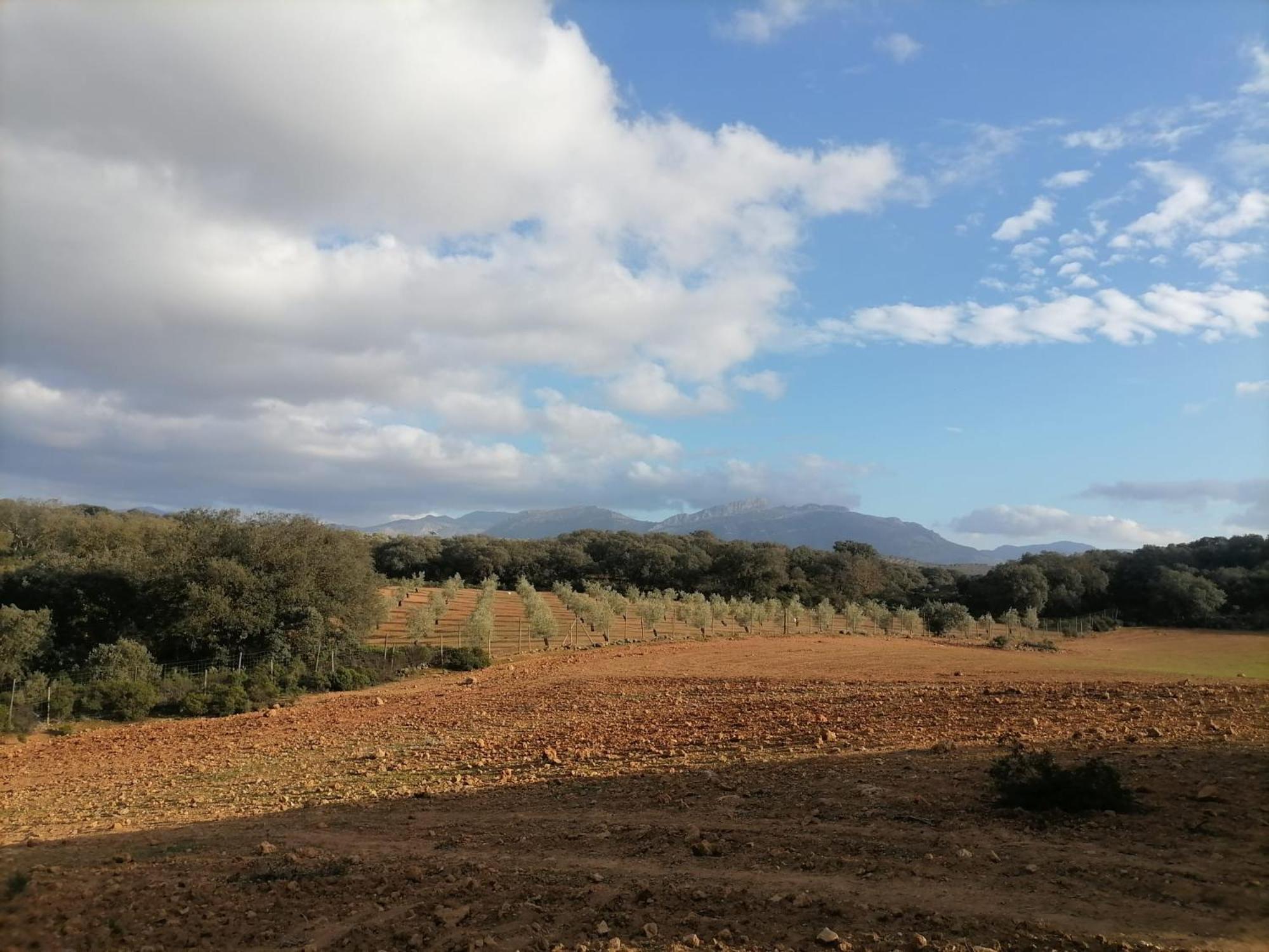 Casa Rural El Contarin - An Andalusian Escape, Archidona, Malaga Екстериор снимка